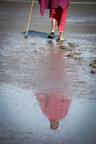 Walking Safaridelsafari
