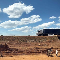 Vrachtwagen met container opweg naar Igunga
