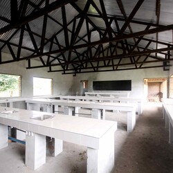 De eerste 250 leerlingen